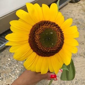 Meet your Posher, Bruna